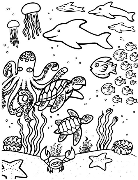 Underwater Sea Animals Drawing With Colour Ocean Animals Drawing