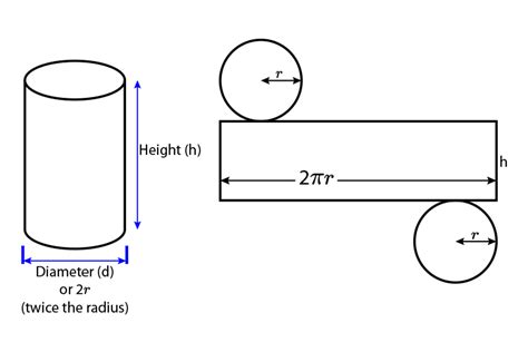 Learn how to calculate the area of the cylinder with solved examples. How To Find Curved Surface Area Of A Cylinder