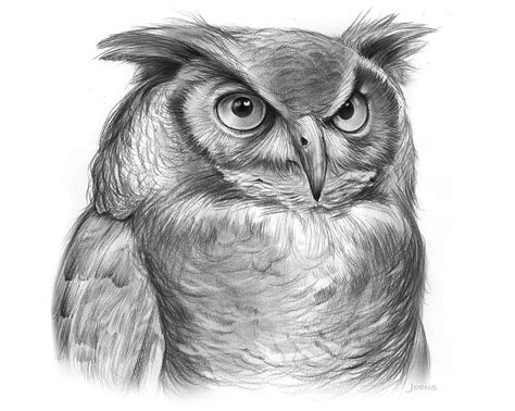 Owl Drawing Great Horned Owl By Greg Joens Owls Drawing Owl Art