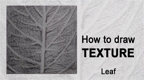 How To Draw Texture Leaf Pencil Sketch Youtube
