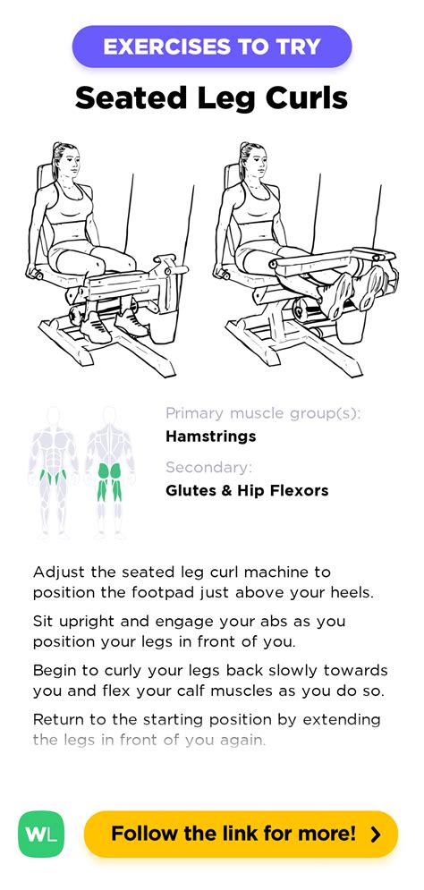 Seated Leg Curls WorkoutLabs Exercise Guide