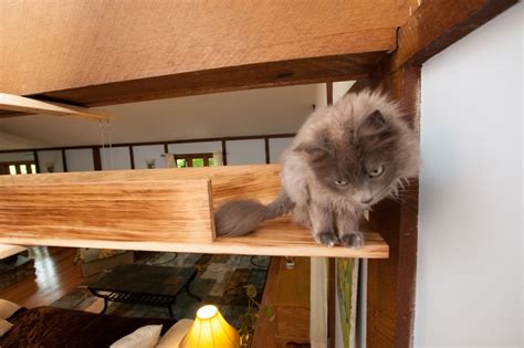 10 resultados para perfect petzzz cat. I 'Catified' My Friends' House For Their 7 Cats | Bored Panda