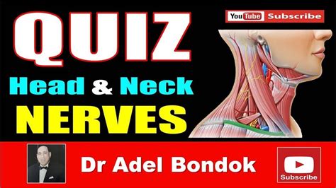 Quiz On The Head And Neck Nerves Dr Adel Bondok Head And Neck Nerve
