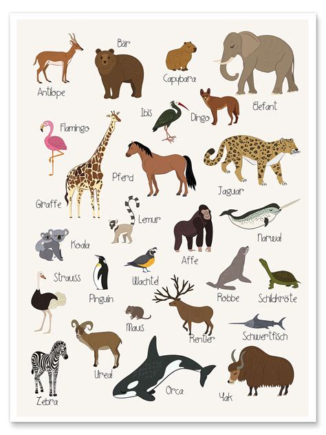 Favorite Animals German Print By Kidz Collection Posterlounge