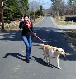 Dog Trainer Victoria Stilwell Introduces New Web Series Latf Usa News