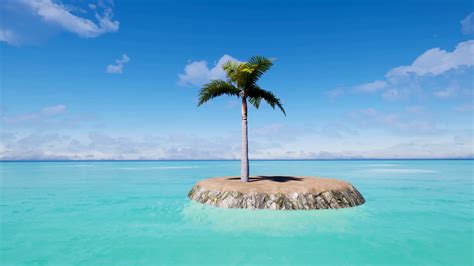 A Lone Palm Tree On A Small Tropical Island In The Middle Of A