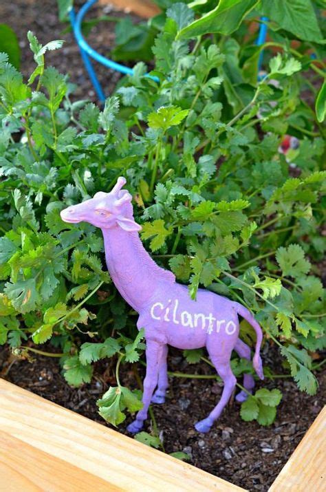 Learn How To Create Garden Markers For Your Container Garden Choose