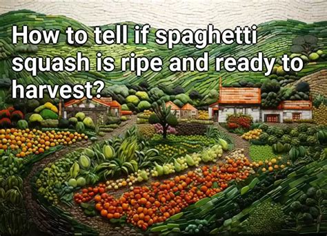How To Tell If Spaghetti Squash Is Ripe And Ready To Harvest