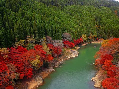 Download japanese rivers by vlisa on beatport, the world's largest music store for djs. Japan River Forest Trees Autumn 2560x1600 : Wallpapers13.com