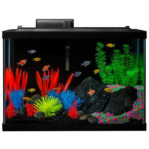 20 Gallon Fish Tanks Options And Reviews 2023 A Little Bit Fishy