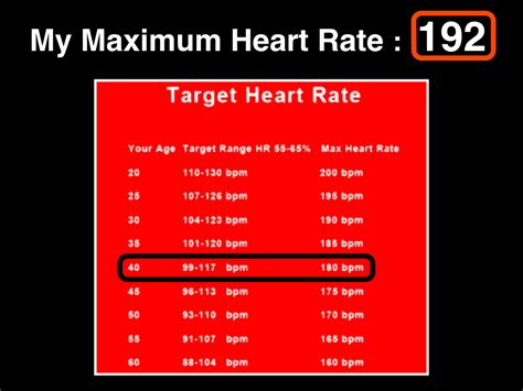 Your heart rate while running is a reflection of your fitness level and workout intensity. Cutting Edge Testing - Metabolic Performance