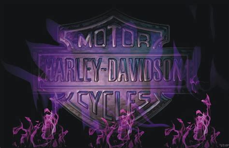 2880x1800px Free Download Hd Wallpaper Motorcycles Harley Davidson Flame Logo Text