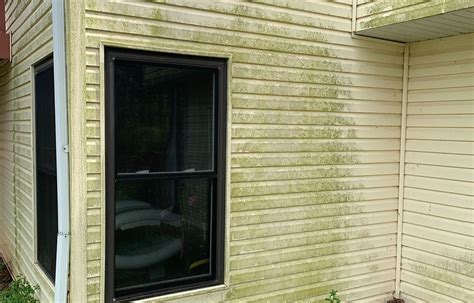 The Benefits Of Pressure Washing Your Siding Pro Wash