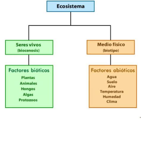 Cuadros Comparativos Sobre Bioticos Y Abioticos Cuadro Comparativo