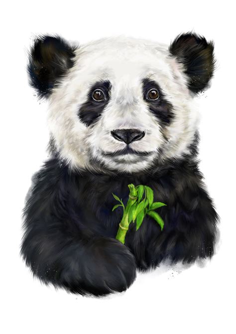 Panda Bear Art Print Wall Art Nursery Decor Cute Nursery Art Etsy