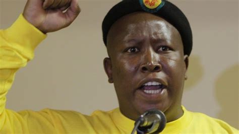There Will Be Chaos In Gauteng South Africa Warns Julius Malema
