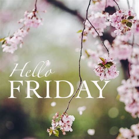 Hello Friday Flowers Floral Friday T Friday Quotes Hello Friday Its