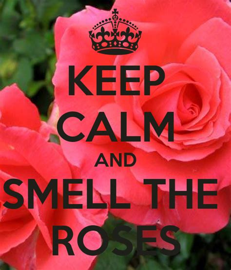 Keep Calm And Smell The Roses Poster Madeline Keep Calm O Matic
