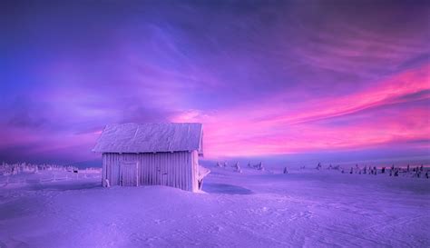 Photography Fence Farm Frost Winter Outdoors Tomasz Rojek