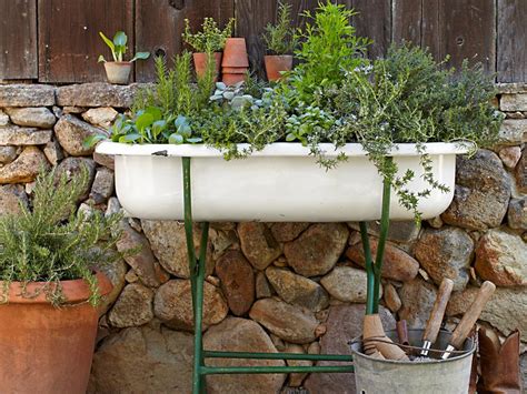 Fragrant Herb Container Combinations Hgtv