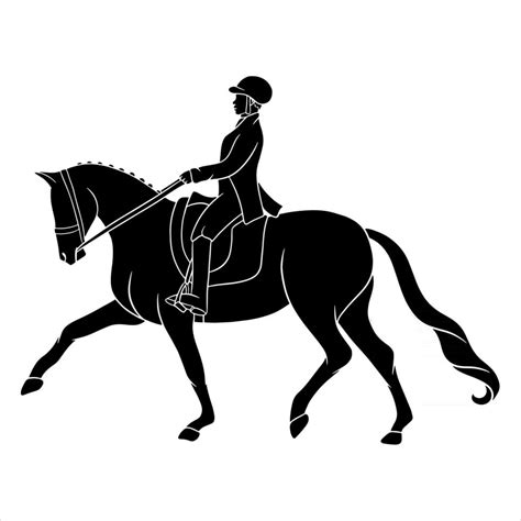 Horse Riding Woman Riding Dressage Horse In Silhouette 2512980 Vector