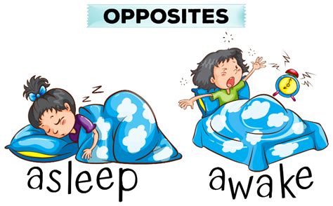 Which Is Correct Fall Asleep Or Fell Asleep