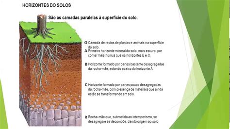 Solo Permeável E Impermeável