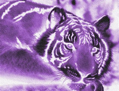Purple Tiger Wallpaper Cool Purple Background Tiger Wallpaper Purple