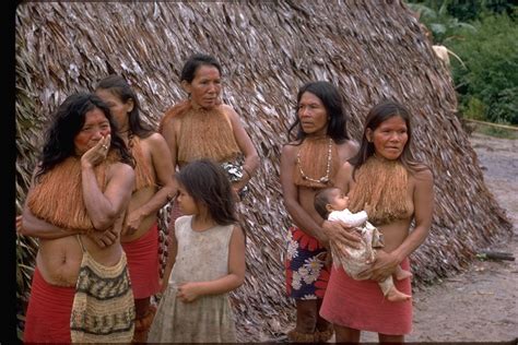 Calphotos Yaqui Indian Women And Girls Amazon River Peru