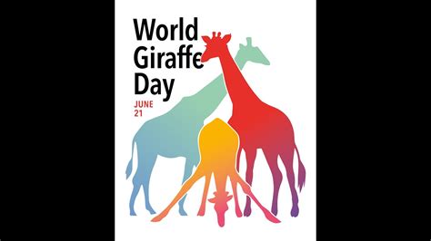 World Giraffe Day 21 June 2020 Giraffe Conservation Foundation