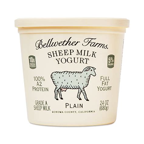 Bellwether Farms Sheep Milk Yogurt Plain Thrive Market