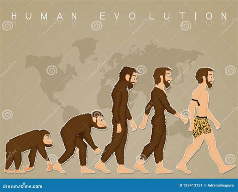 Illustration Of Human Evolution Stock Illustration Illustration Of