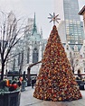 How many of the best Christmas trees in NYC have you seen? Sure, there ...