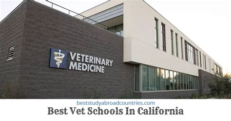 The 10 Best Vet Schools In California Vet Tech Programs With Key Facts
