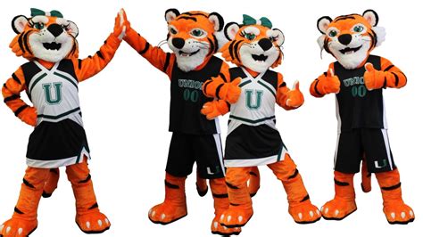 Loonie Times Union Middle School California Custom Tiger Mascot Costumes