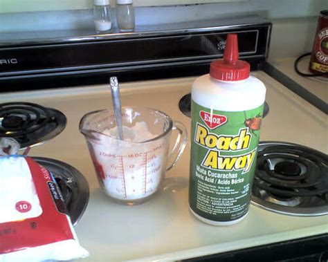 3 Common Mistakes Made Using The Boric Acid Roaches Treatment Pests Off