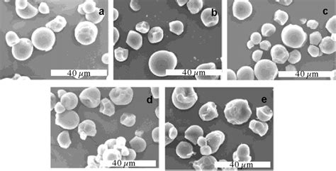 Sem Micrographs Of Tapioca Starch Granules Of A Native Starch B