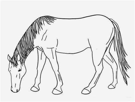 You can make a cartoon do things that a real horse can't and you can really major, philippe (and frou frou from the artisotcats…) were drawn like this. Colour Drawing Free HD Wallpapers: Horse For Kids Coloring ...