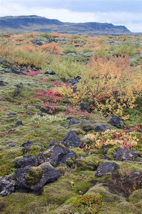 Linda G Deaton Nature Photography Travel Blog Autumn In Iceland