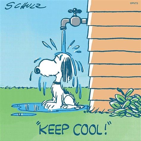 Its Getting Hot Out There Snoopy Pictures Snoopy Snoopy Love