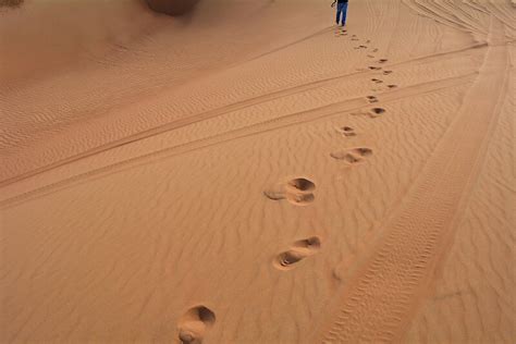 Man Walking In The Desert Leaving Footsteps In The Sand By