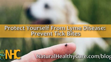 Protect Yourself From Lyme Disease Prevent Tick Bites