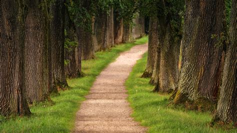 Pathway Wallpapers Top Free Pathway Backgrounds Wallpaperaccess