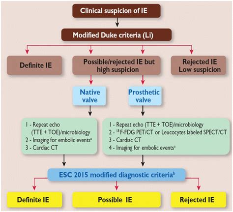 Algorithm For The Diagnosis Of Infective Endocarditis Of The Guidelines