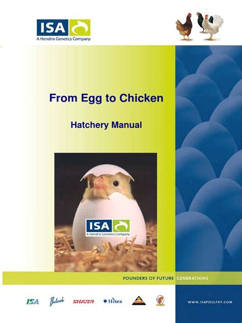 From Egg To Chicken Hatchery Manual Egg Yolk Free 30 Day Trial