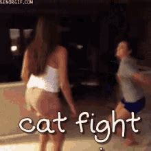 Catfight Gifs Tenor