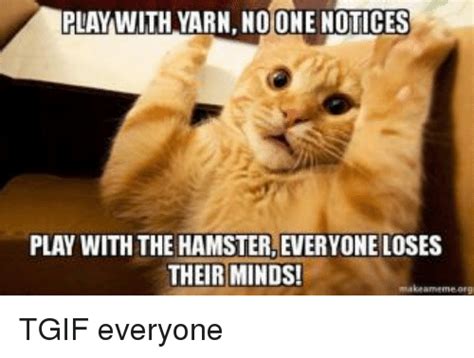 Play With Yarn No One Notices Play With The Hamster