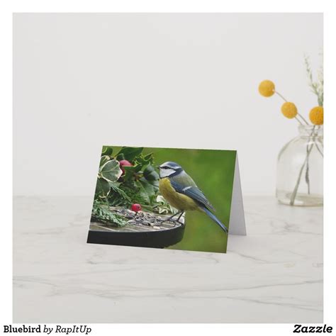 Bluebird from american express is way better than most other debit cards.there are several unique benefits that you should know.there are two ways to get a. Eastern Bluebird Card | Zazzle.com | Bluebird card, Blue bird, Eastern bluebird