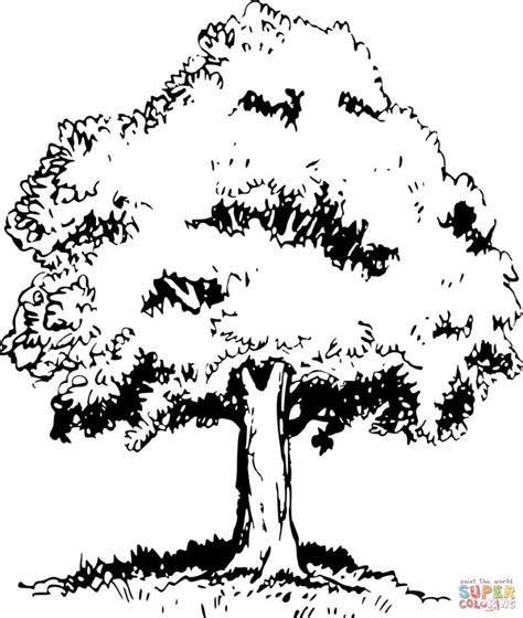 25 Free Tree Coloring Pages For Kids And Adults