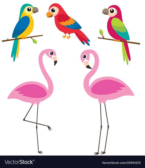 Cute Cartoon Parrots And Flamingos Royalty Free Vector Image